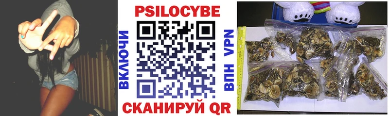 Псилоцибиновые грибы прущие грибы  Полевской 